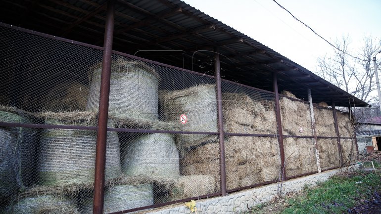 Chisinau Zoo prepares animals for chilly winter (PHOTOREPORT)