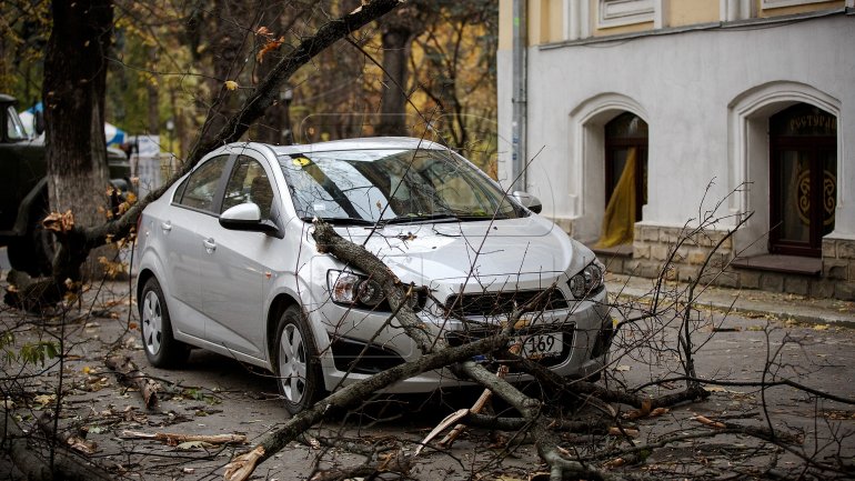 Car crashes conduct to alarming number of life losses