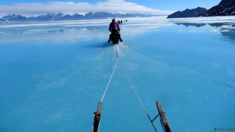 Mysterious sound scares animals in Canada's icy waters