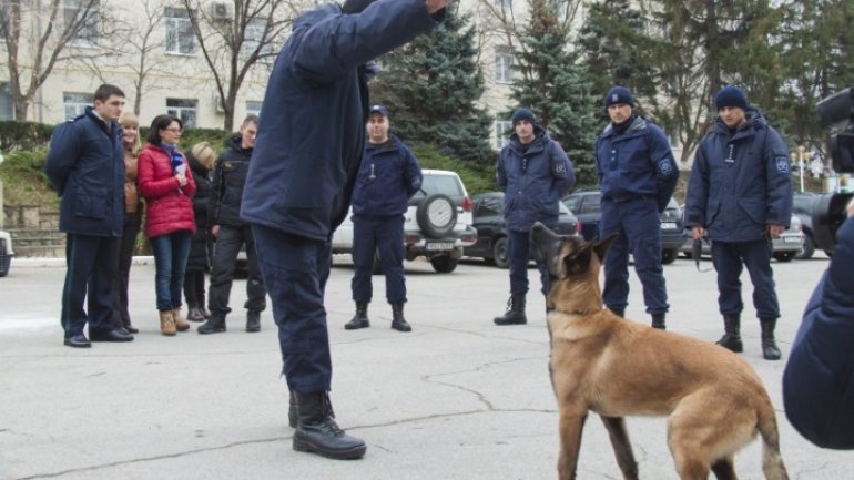 Moldova's Border Police gets two dogs from Latvian counterparts