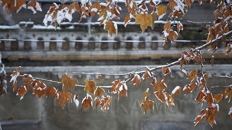 Weather in Moldova: Snow covered many localities