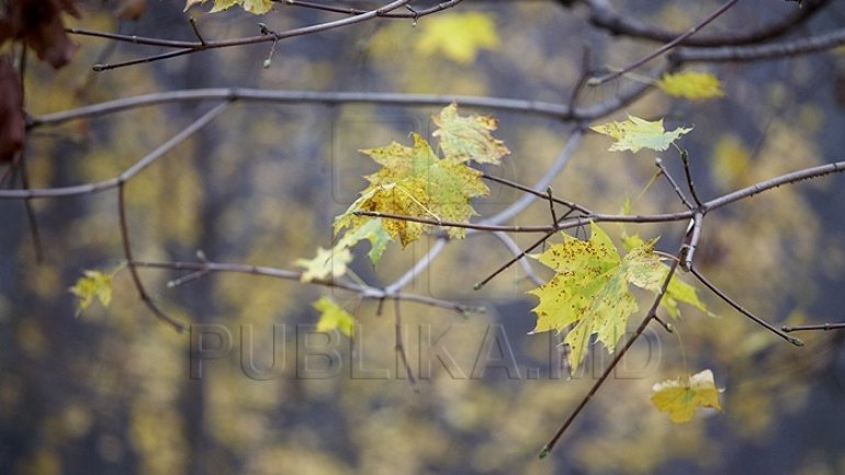 WEATHER FORECAST FOR FOLLOWING DAYS: Forecasters' outlook