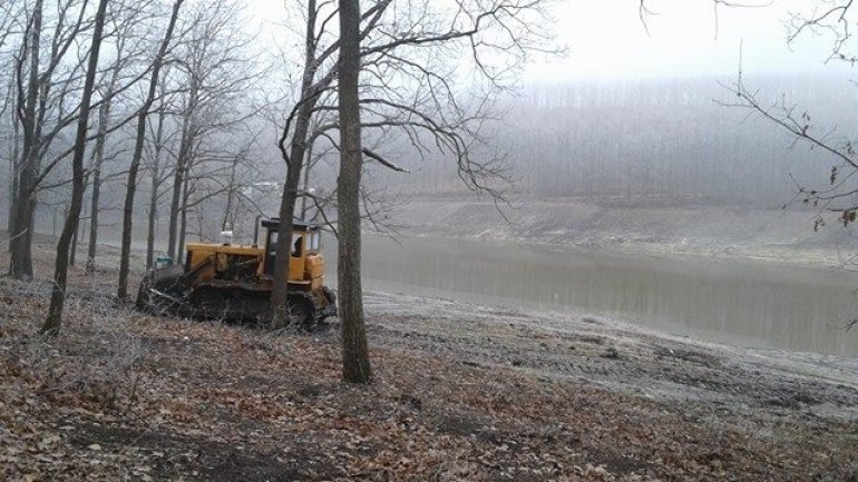 Illegal deforestation carried out by Balti and Falesti groups brings damage of millions