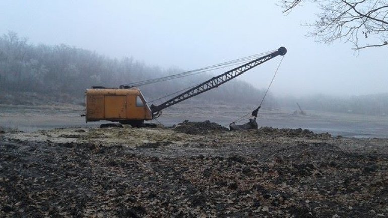 Illegal deforestation carried out by Balti and Falesti groups brings damage of millions