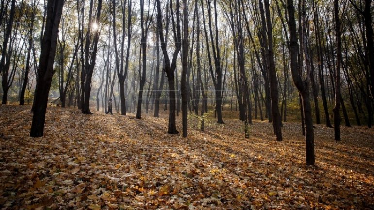 Weather Forecast in Moldova for coming days