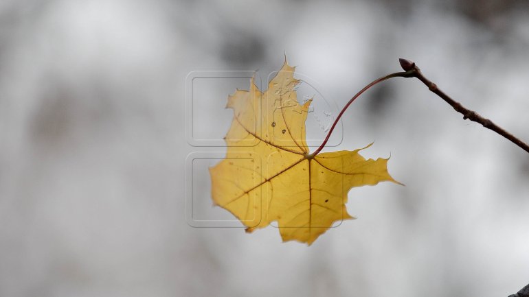 Weather Forecast in Moldova. November 22, 2016