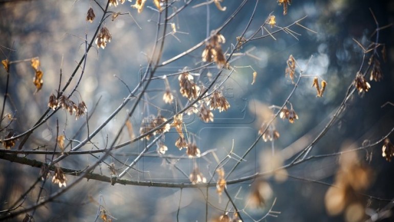 WEATHER FORECAST in Moldova for coming days