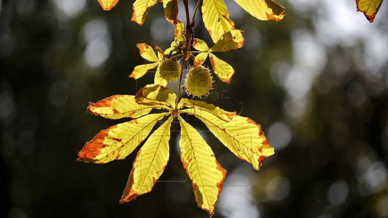 WEATHER FORECAST 5 NOVEMBER 2016: Variable sky and warm  weather