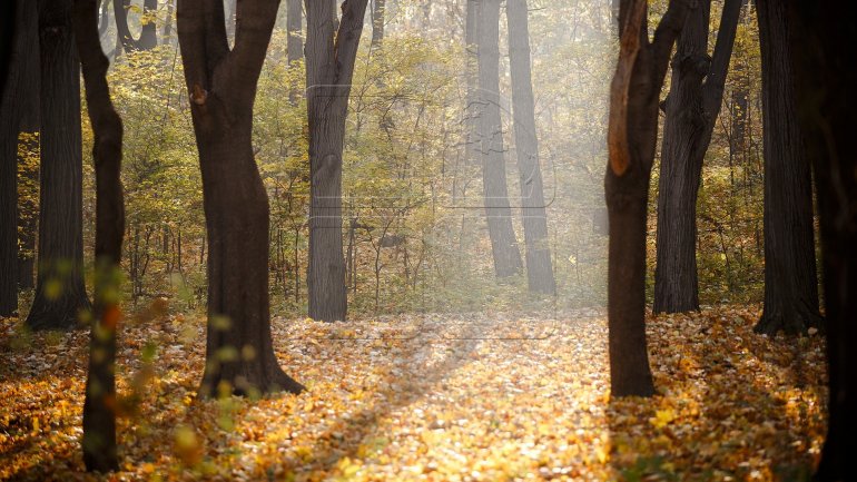 Weather Forecast for coming days: Temperatures up to 10 degrees 