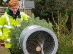 Schoolboy entrepreneur grows 1,500 Christmas trees to fund university fees