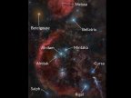 Gaggle of stars get official names