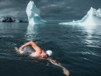 Briton swims Antarctic in campaign for three marine sanctuaries