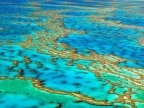 Japanese tourist dies at Australia's Great Barrier Reef