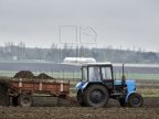 Farmers will receive subventions for worked land and livestock