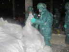 Moldovan military send pesticides to be destroyed in Poland