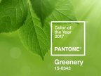 Pantone colour of year announced and it's a shade of green