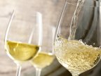 Study: White wine raises melanoma risk