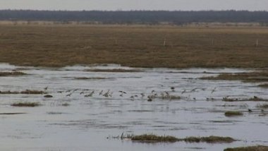 Unusual warm weather in Arctic, prone to cause havoc in northern hemisphere