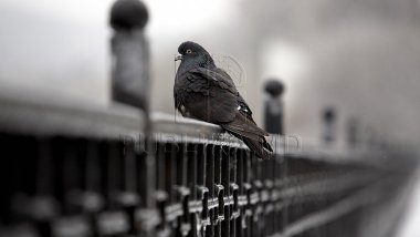 WEATHER FORECAST. December 4th, 2016