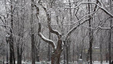 WEATHER FORECAST in Moldova. December 13, 2016