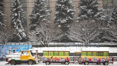 Weather forecast for last week of December 2016: Overcast sky and possible snow