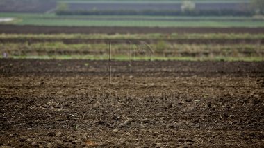 Ministry of Agriculture to help farmers develop their businesses and expand exports