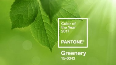 Pantone colour of year announced and it's a shade of green