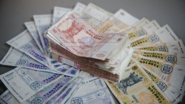 Government grants more assistance to migrants’ investment projects