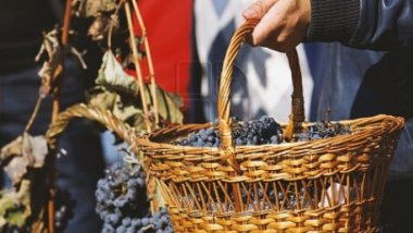 US and Sweden to provide 22 million dollars funding for domestic industry