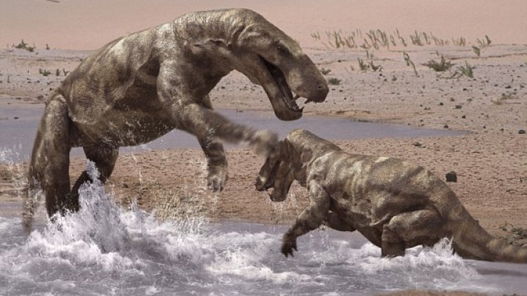 World's oldest cancer case: Tumor found in mouth of Paleozoic predator