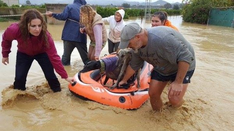 Spanish provinces on heavy showers alert as 2 die and several cities get flooded