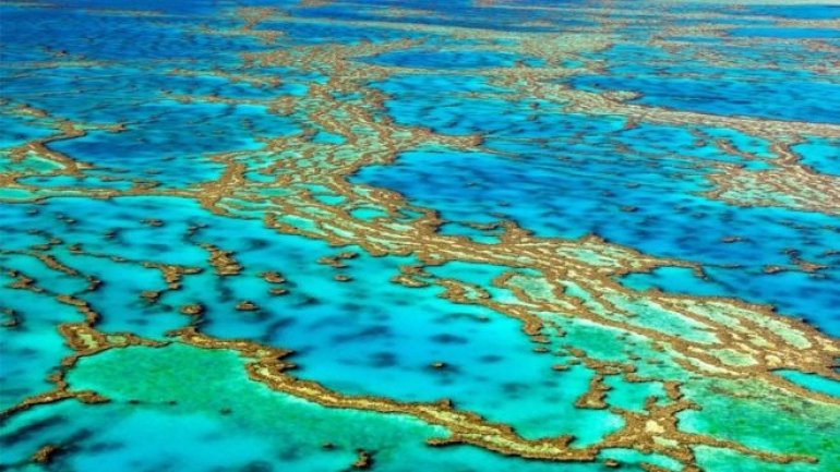 Japanese tourist dies at Australia's Great Barrier Reef