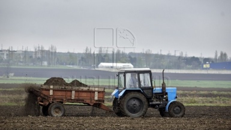 Farmers will receive subventions for worked land and livestock