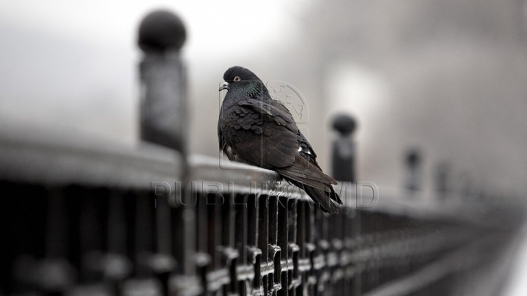 WEATHER FORECAST FOR 1ST DAY OF WINTER: Variable sky and snow