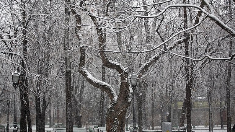 WEATHER FORECAST in Moldova. December 13, 2016