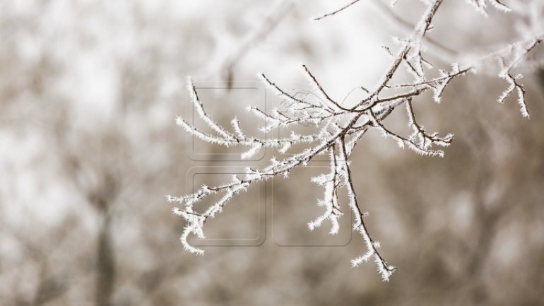 WEATHER FORECAST in Moldova. December 5, 2016