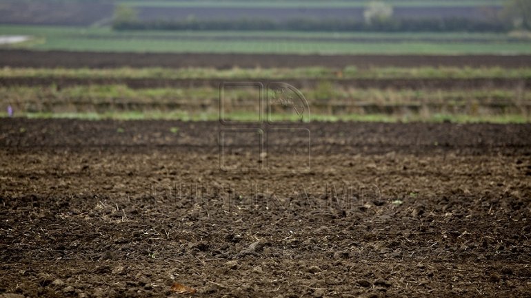 Agriculture: 32 per cent rise in cereal and vegetables harvest compared to 2015