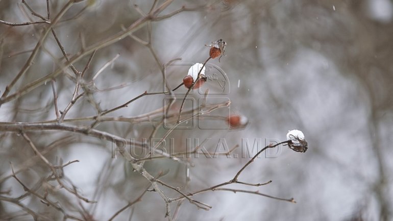 Meteorologists: Snowfall expected in the next days