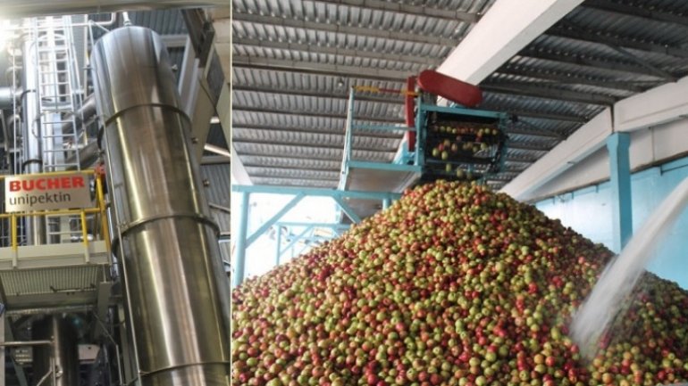 Woman, SQUEEZED by press at Moldovan juice-maker