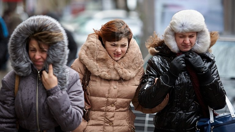 Yellow warning of strong wind: gusts of up to 70 km/h