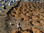 Riot in Brazil prison leaves at least four dead