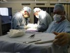 France just made every citizen an organ donor, unless they opt out