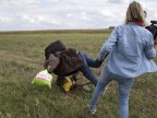 Hungarian camerawoman fired after being filmed kicking migrants