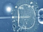 Infertile couple has baby with three-person IVF