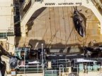 Australia criticizes Japan for whaling off Antarctica