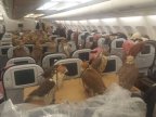 Photo of 80 falcons on board an airliner to Jeddah becomes viral (PHOTO)