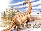 Ancient proteins discovered inside dinosaur bone