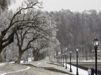 WEATHER FORECAST in Moldova for January 31, 2017