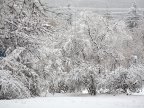 Moldova covered in a new layer of snow. Meteorologists' data