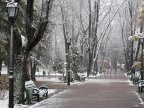 Chisinau residents' reaction to logging in downtown